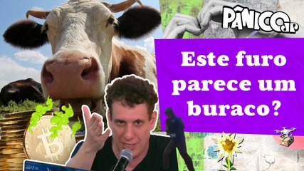 APOSTAR EM ARROTO DE VACA É CRIPTOATIVO, JÁ EM PUM DE VACA É CRIPTOPASSIVO? SAMY DANA MANDA A REAL