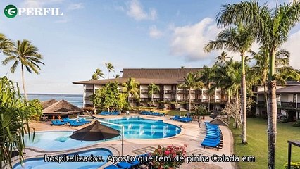 "Turistas intoxicados, múmias com língua de ouro e orcas curiosas: mistérios ao redor do mundo"