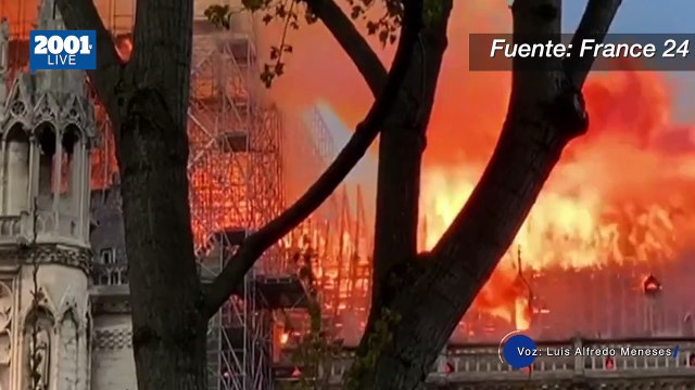 Descubrimiento en Notre Dame: Tesoros encontrados