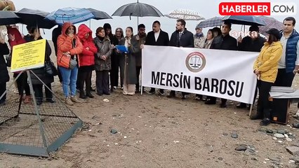 Mersin'de Deniz Kaplumbağalarının Yuvalama Alanına Müdahale Tepkisi