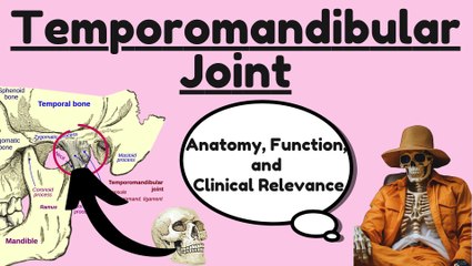 Anatomy of the Temporomandibular Joint (TMJ): Complete Guide to Structure, Function, and Clinical Relevance