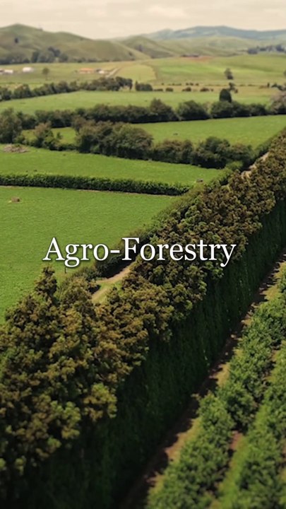 Agro forestry and community forest managemet || benefits of urban forestry...