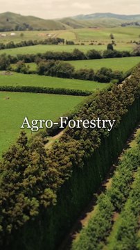 Agro forestry and community forest managemet || benefits of urban forestry...