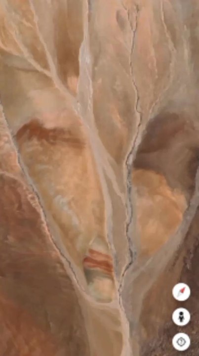 image d'un visage humain sur Google earth