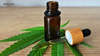 Justiça mantém decisão que obriga o município de Piancó a fornecer canabidiol para menor doente