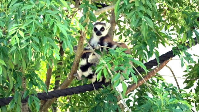 Hot weather conditions in ACT prompt widespread safety warnings