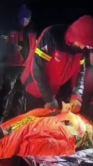 Gato le salva la vida