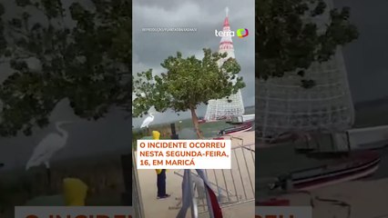 Árvore de Natal ‘gigante’ é derrubada por temporal no RJ; uma pessoa morreu
