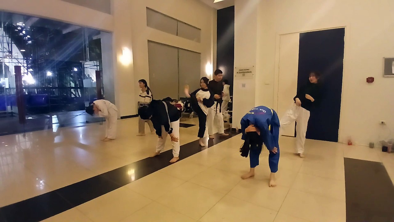 Taekwondo, tkd 20241209_185214