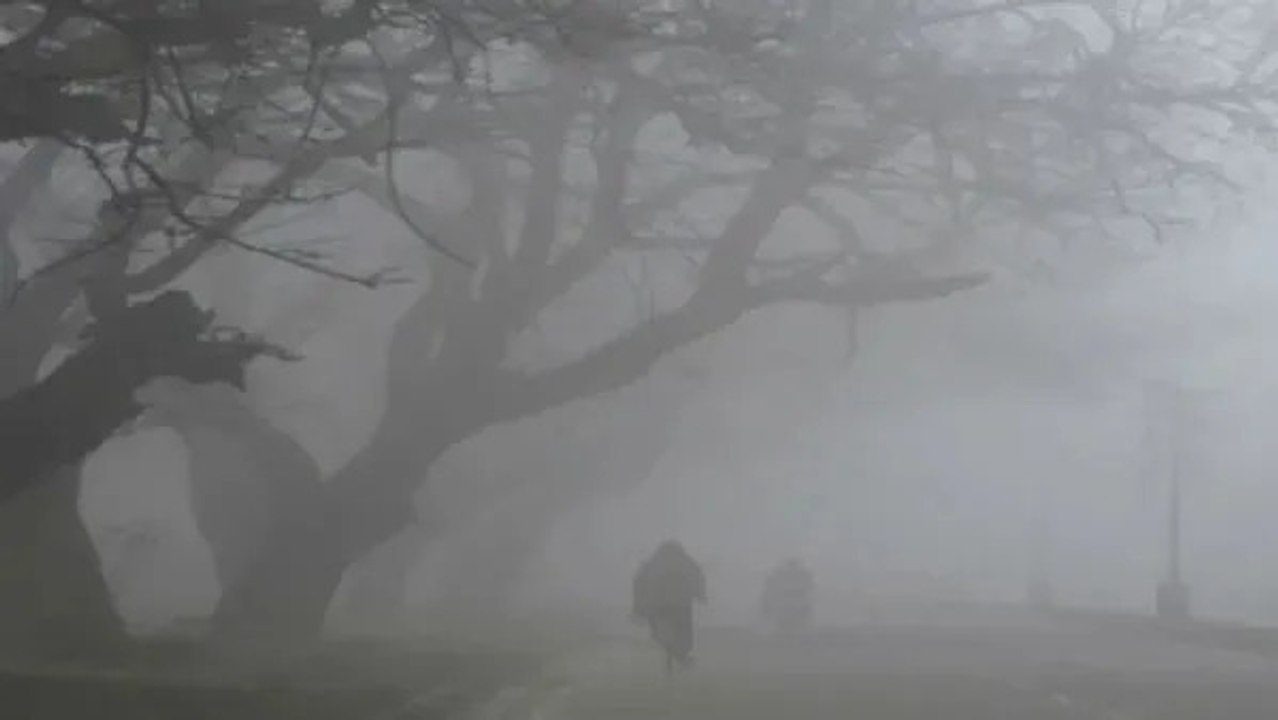 Telangana Weather: ठंड से परेशान हैदराबाद, कई जिलों में शीत लहर का अलर्ट जारी