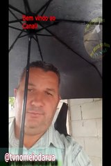 Amo quem faz de tudo pra cuidar de arvores