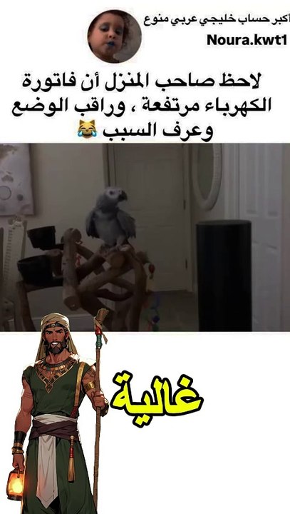 غلباوي فعلا