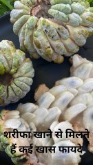 शरीफा खाने से मिलते हैं कई खास फायदे