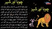 The Loin and the Mouse Short Moral Story in Urdu | چوہا اور شیر