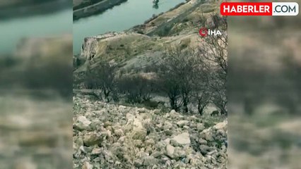 Koruma Altındaki Dağ Keçileri Palu'nun Eşsiz Manzarasında