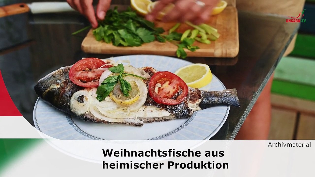 hallo ungarn – Kurznachrichten am 17.12.2024