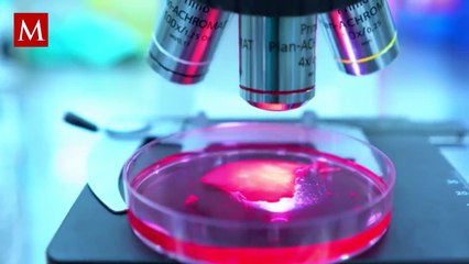 Benceno en el champú y el protector solar, ¿riesgo de cáncer?