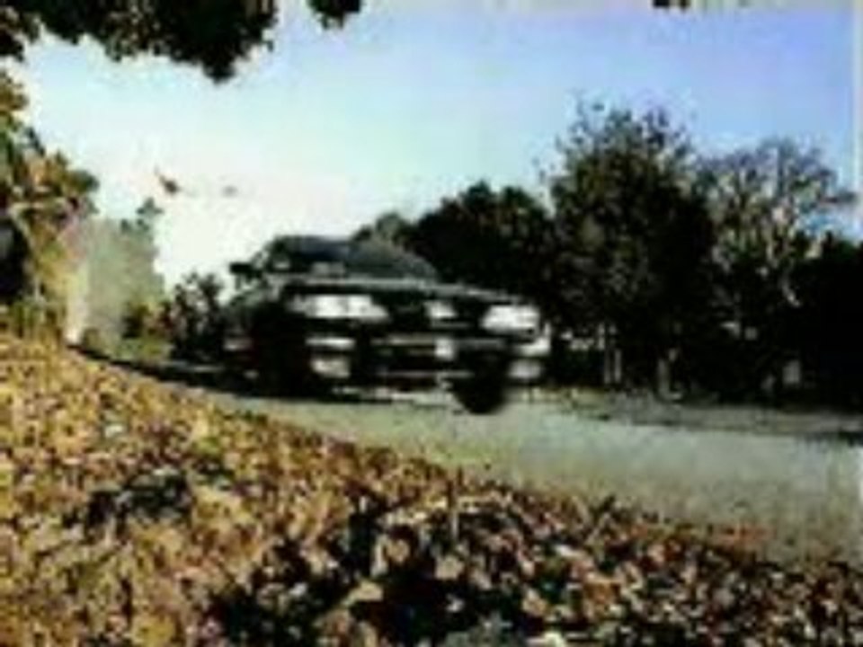 Nissan Birds commercial