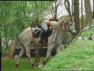 TREC au lion d'Angers-27-04-08_0001