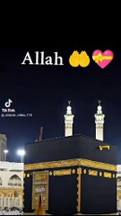 چھوٹی بچی کیا کہہ رہی ہے