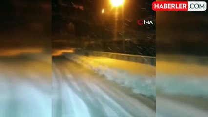 Kış Uykusuna Yatamayan Ayılar Şehir Merkezine İndi