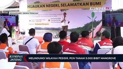 Melindungi Wilayah Pesisir, PGN Tanam 5.000 Bibit Mangrove