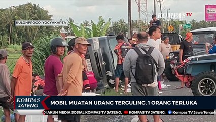 Mobil Muatan Udang Terguling, 1 Orang Terluka