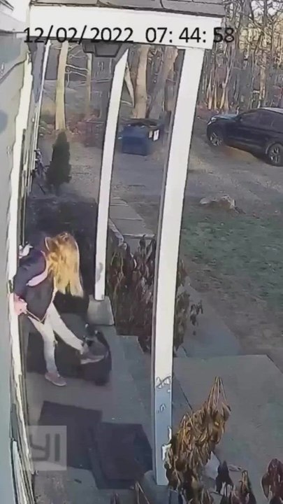 Una madre salva a su hija del ataque de un mapache y los comentarios coinciden: "madre no hay más que una"