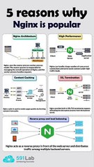 Why Is Nginx So Popular? 5 Facts You Need to Know