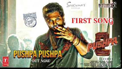 Pushpa 2 song/pushpa pushpa song/hindi new song/allu Arjun new song