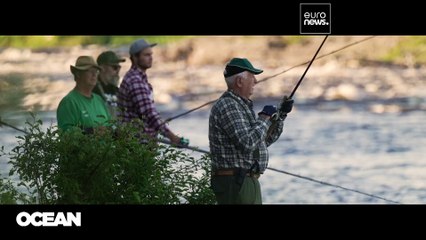 Hooked on salmon: EU-backed efforts to protect Sweden's threatened wild species