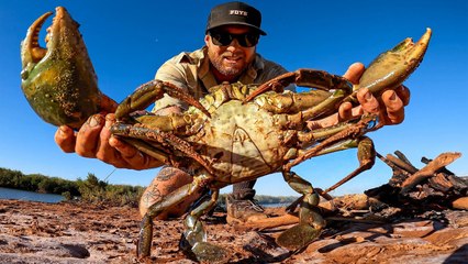 ATRAPANDO Y COCINANDO UN CANGREJO DE BARRO GIGANTE - SIN COMIDA