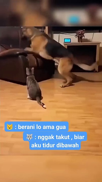 getsnackvideo.com_1734353035562
