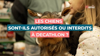 Puis-je emmener mon chien à Decathlon ?