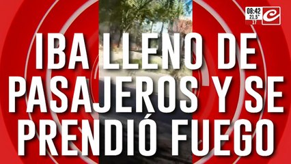 Micro repleto de pasajeros se prende fuego en plena ruta