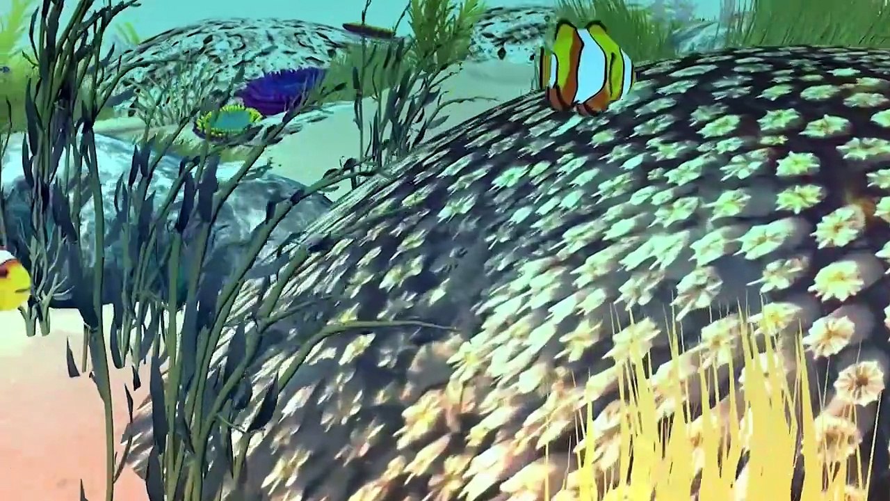 La Gran Barrera de Coral