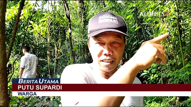 'Moly' Gajah Bali Zoo Ditemukan Mati Usai Terseret Derasnya Arus Sungai