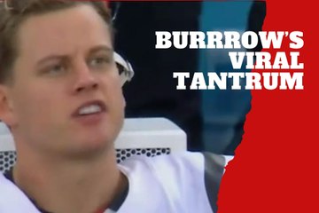 Joe Burrow's Intense Sideline Outburst with Coach Zac Taylor 😡