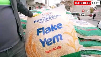 Denizli'de Hayvancılık Destekleniyor: Üreticilere Yem Dağıtımı