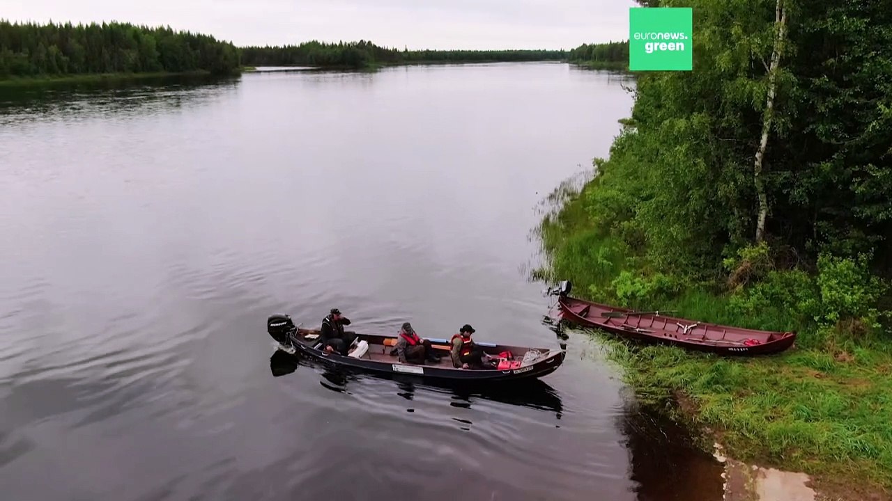 La Suède et la Finlande s'unissent pour préserver le saumon sauvage