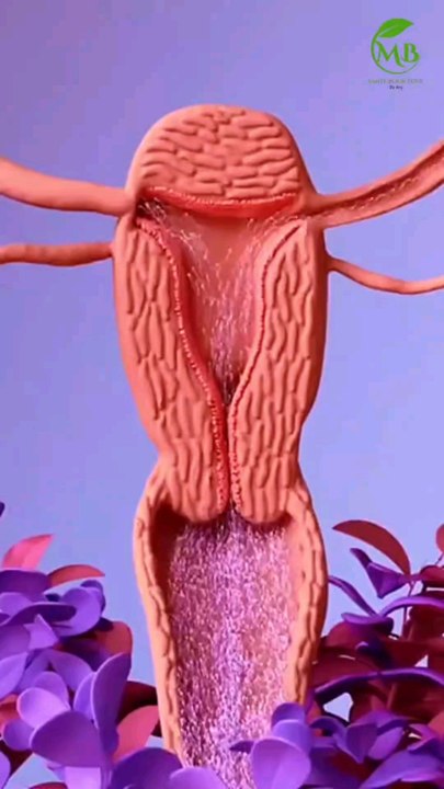 Les phénomènes étranges dont tu n'as jamais entendu parler (94) 🤦🏼‍♂️