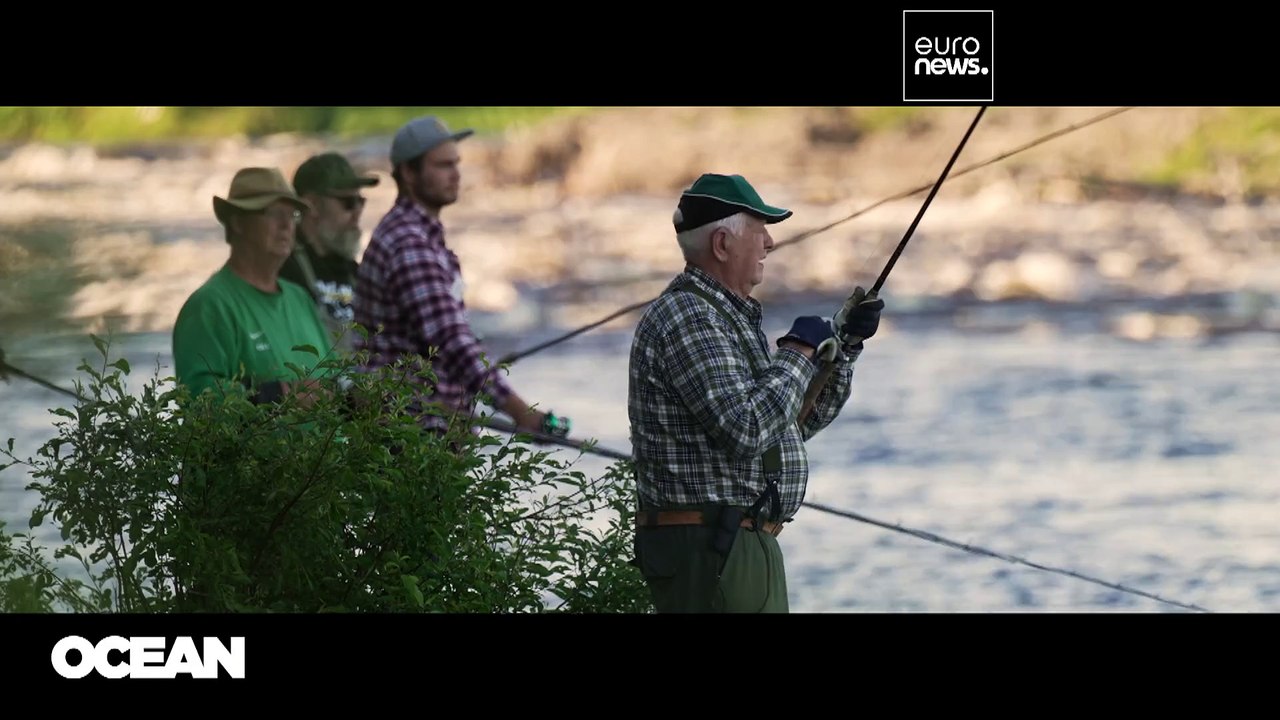 Schutz des Wildlachses in Europa: Vorbild Nordschweden