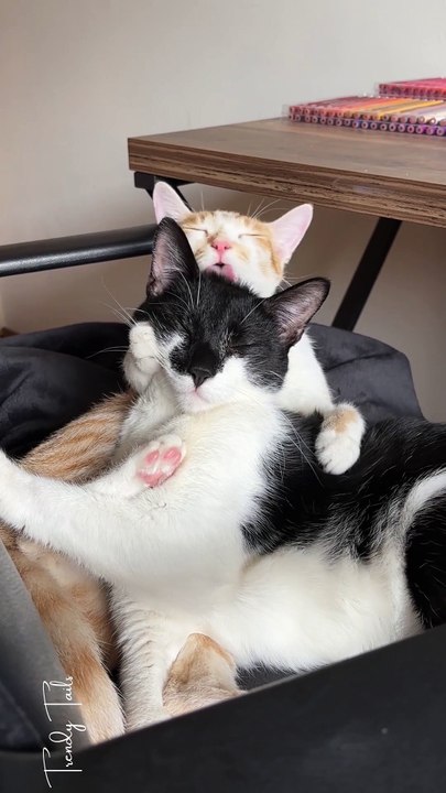 The way he’s just enjoying the moment