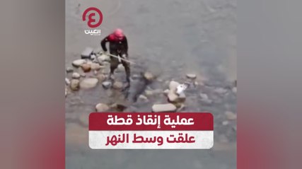 عملية إنقاذ قطة علقت وسط النهر