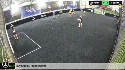 But de Leo M - Les Puristes