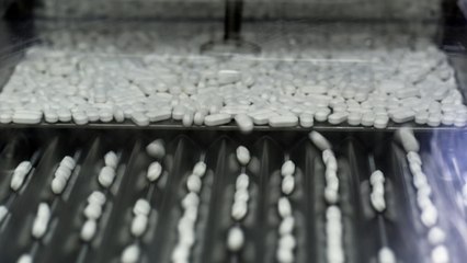 ‘For Every Drug, We’ll Save 100 People and Kill 3’: Inside the Race to Fight Aging