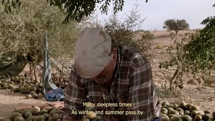 'Sortes' - Tráiler Oficial