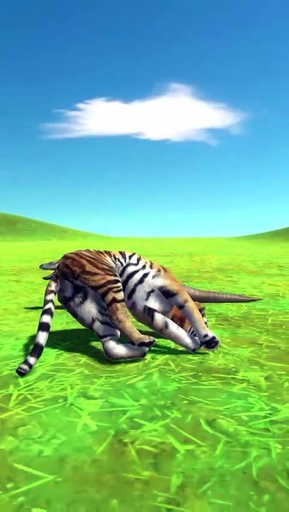 3D Animation animal wildlife Gameplay FUN GAMES TV