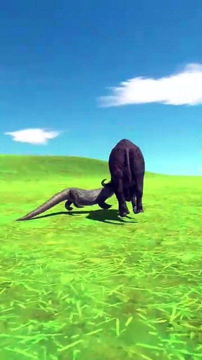 Animal fighting game 3D Animation Animal Fusion video