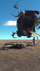 Animal Fusion Short video 3D Animation video